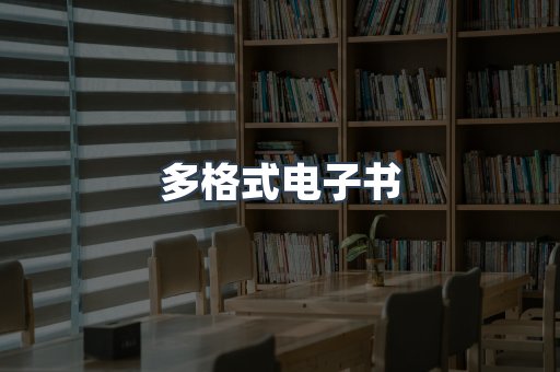 多格式电子书